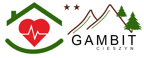 gambit.cieszyn.nocleg24.eu